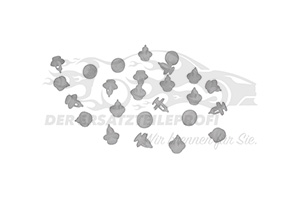 699050 Befestigungsclip farblos (VPE 25) 