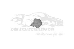 699050 Befestigungsclip farblos (VPE 25) 