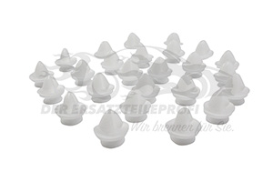 6991S6 Befestigungsclip farblos (VPE 25) 