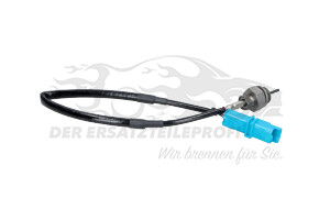 8200702888 Abgastemperatursonde vor FAP Renault