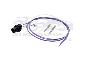 7701478476 Rep.Satz Stecker für Seitenblinker Renault
