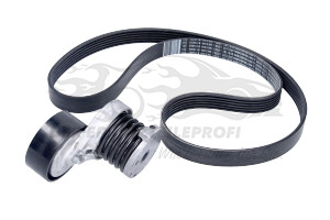117202495R Keilrippenriemensatz 6PK1197 Renault