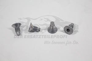 402061200R Bremsscheibensatz vorne 258mm Renault