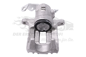Bremssattel hinten links (Sys.Lucas)