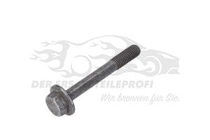 Schraube für Nockenwellenrad Citroen / Peugeot / Opel 080654