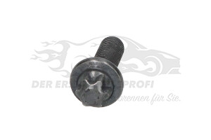 080678 Schraube, Zahnrad-Nockenwelle Citroen / Peugeot / Opel