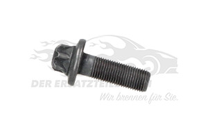 080678 Schraube, Zahnrad-Nockenwelle Citroen / Peugeot / Opel