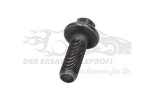 080678 Schraube, Zahnrad-Nockenwelle Citroen / Peugeot / Opel
