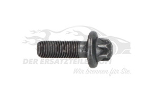 080678 Schraube, Zahnrad-Nockenwelle Citroen / Peugeot / Opel