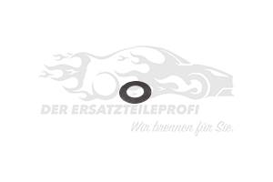 Dichtung für Thermostatgehäuse