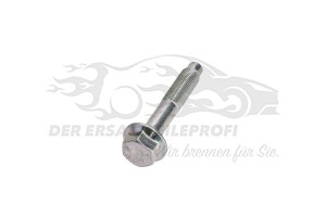 131953 Schraube Citroen / Peugeot / Opel