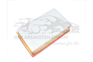 1444TG Luftfilter Citroen / Peugeot / Opel