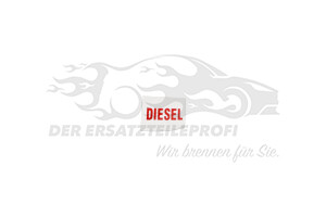 Schriftzug Citroen / Peugeot / Opel 151364
