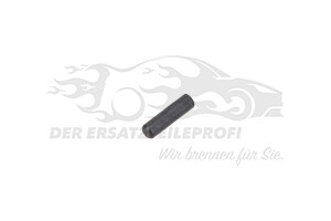 Abdeckung für Einspritzdüse Citroen / Peugeot / Opel 157509