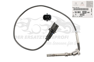 Abgastemperatursensor