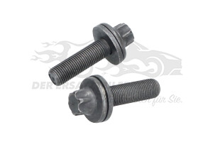1608706680 Schraube, Zahnrad-Nockenwelle Citroen / Peugeot / Opel
