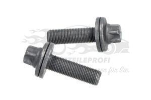 1608706680 Schraube, Zahnrad-Nockenwelle Citroen / Peugeot / Opel