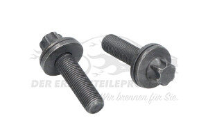 1608706680 Schraube, Zahnrad-Nockenwelle Citroen / Peugeot / Opel