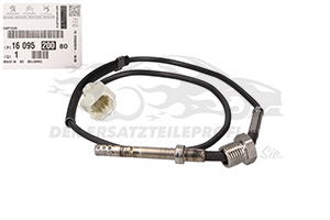 Abgastemperatursensor