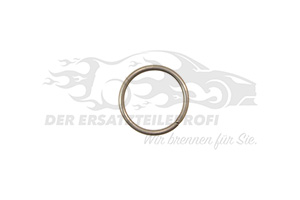 Dichtring für Düsenhalter