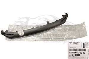 Zier- Schutzleiste für Stoßfänger Citroen 1610174080