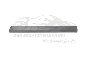 Zier- Schutzleiste für Tür 6001549299