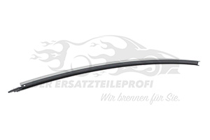 Türdichtung Dacia 822304066R