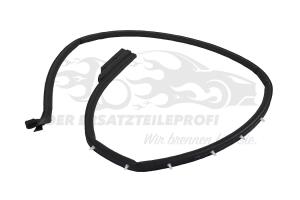 828391179R Türdichtung Hintertür links innen Dacia