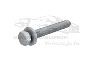 Schraube unten am Querlenker M12x175-85