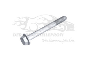 Schraube unten am Querlenker
