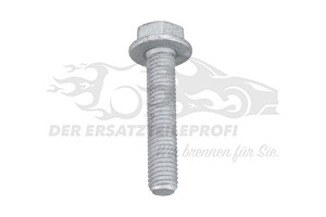 7703002942 Schraube für Halter Lichtmaschine M10x150-50 