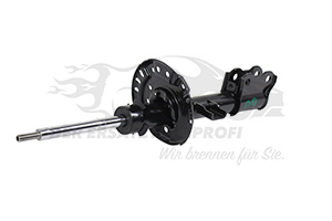 543022015R Stoßdämpfer vorne rechts Renault
