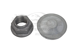 432027412R Bremsscheibe 5-Loch mit Radlager SNR