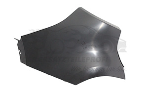 Blende für Stoßstange 850175975R
