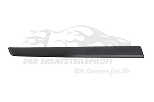 Zier- Schutzleiste für Tür 808203894R