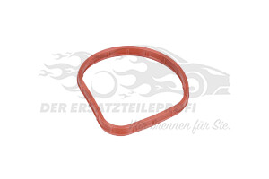Dichtung Thermostat