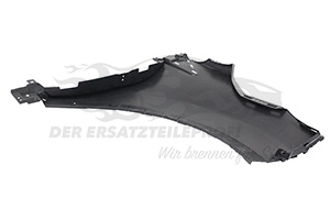 631018073R Kotflügel links 