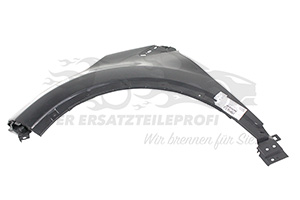 631018073R Kotflügel links 