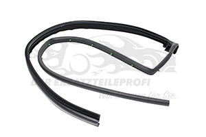 Türdichtung Renault 8200218029