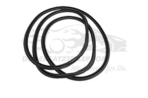 9811881680 Dichtung Schiebedach Citroen