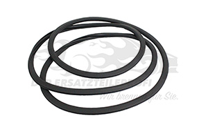 9811881680 Dichtung Schiebedach Citroen