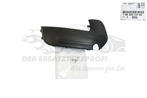 Zier- Schutzleiste für Stoßfänger Citroen 1611370680