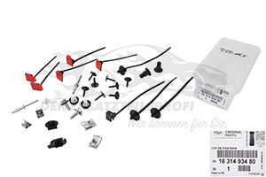 Montagesatz für Stoßstange Citroen 1631493480