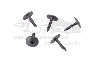 Schraube Citroen 9801024980