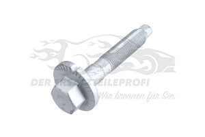 Schraube am Querlenker 8200835820