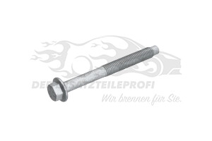 Schraube für Spannrolle