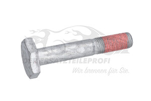 7703101635 Schraube unten am Querlenker Renault