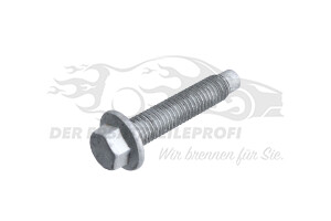 Schraube für Spannrolle