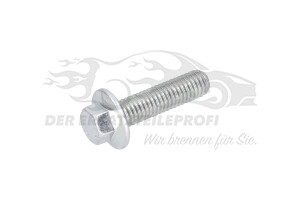 Schraube für Zahnrad Nockenwelle