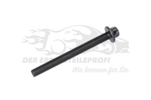 110564592R Zylinderkopfschraubensatz (VPE 10 Stück) 